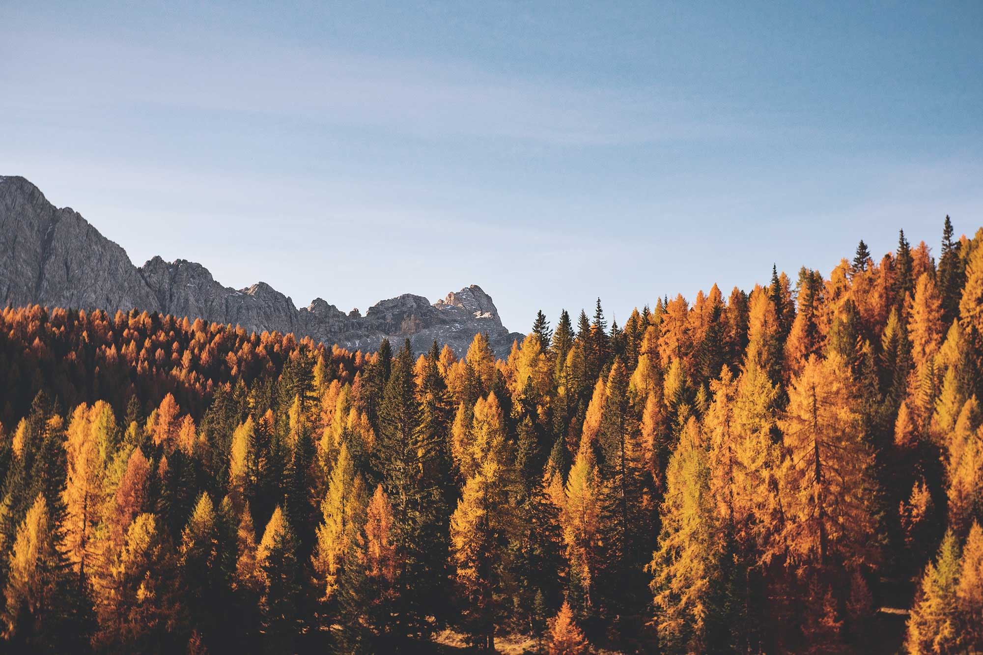 Dolomites in Fall