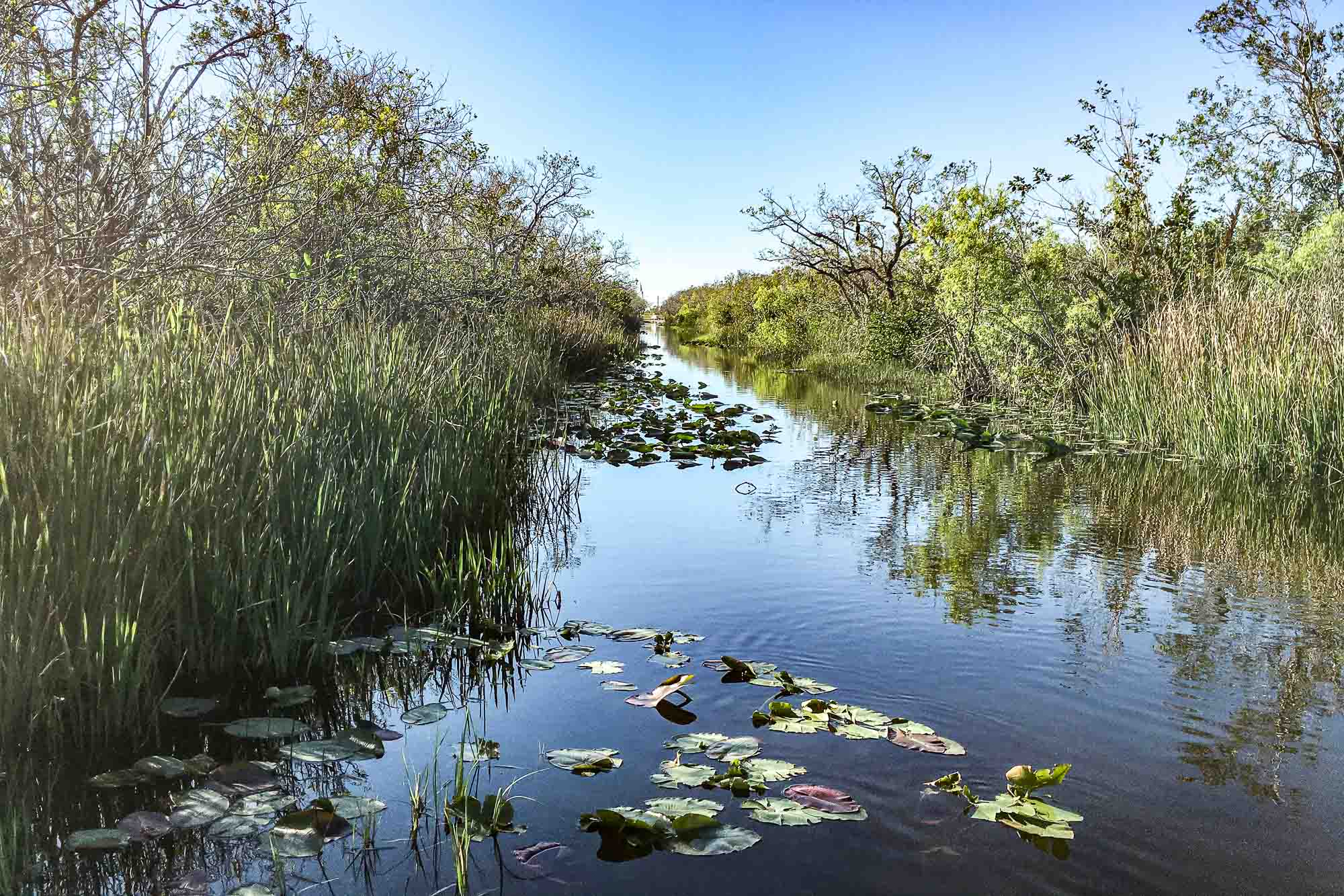 Florida Everglades