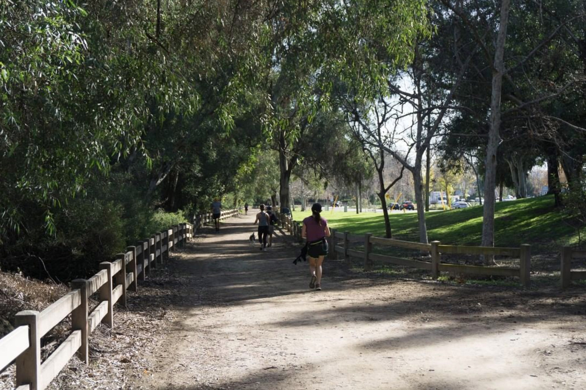 Wide Trail in Griffith Park