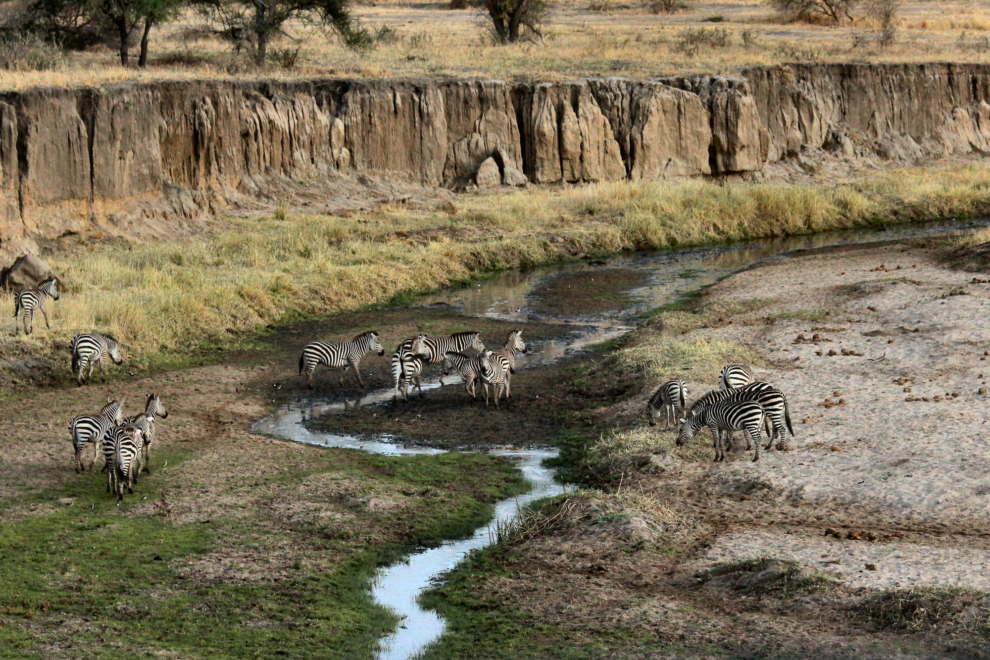 Tanzania