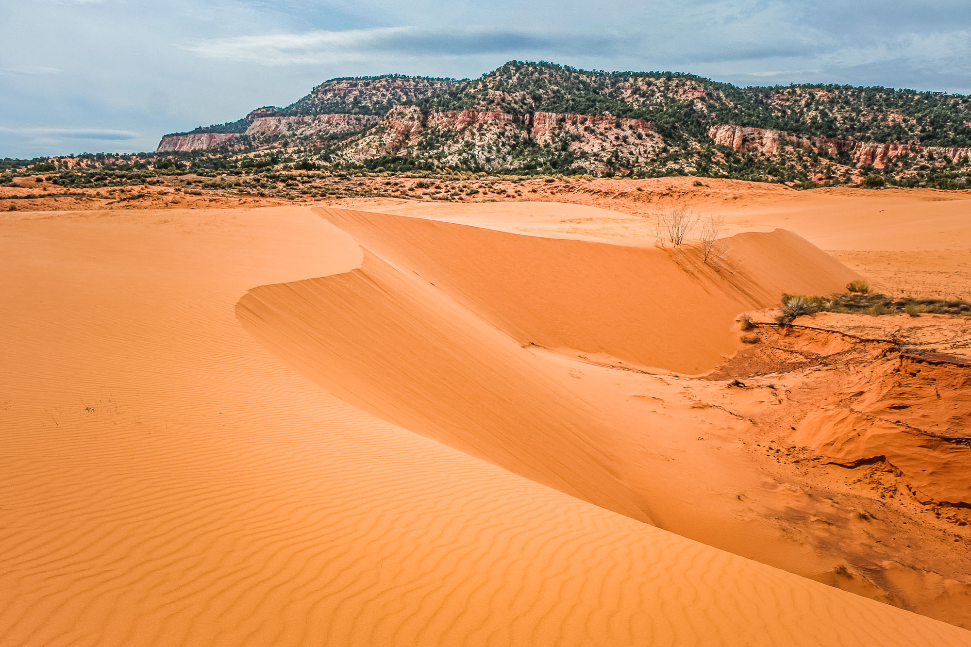 Coral Pink Sand Dunes