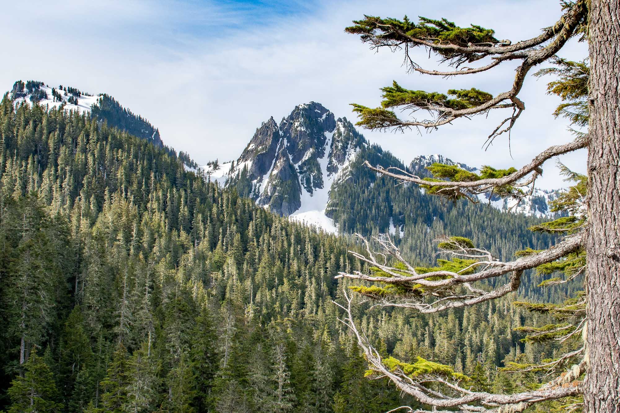 Mount Rainier