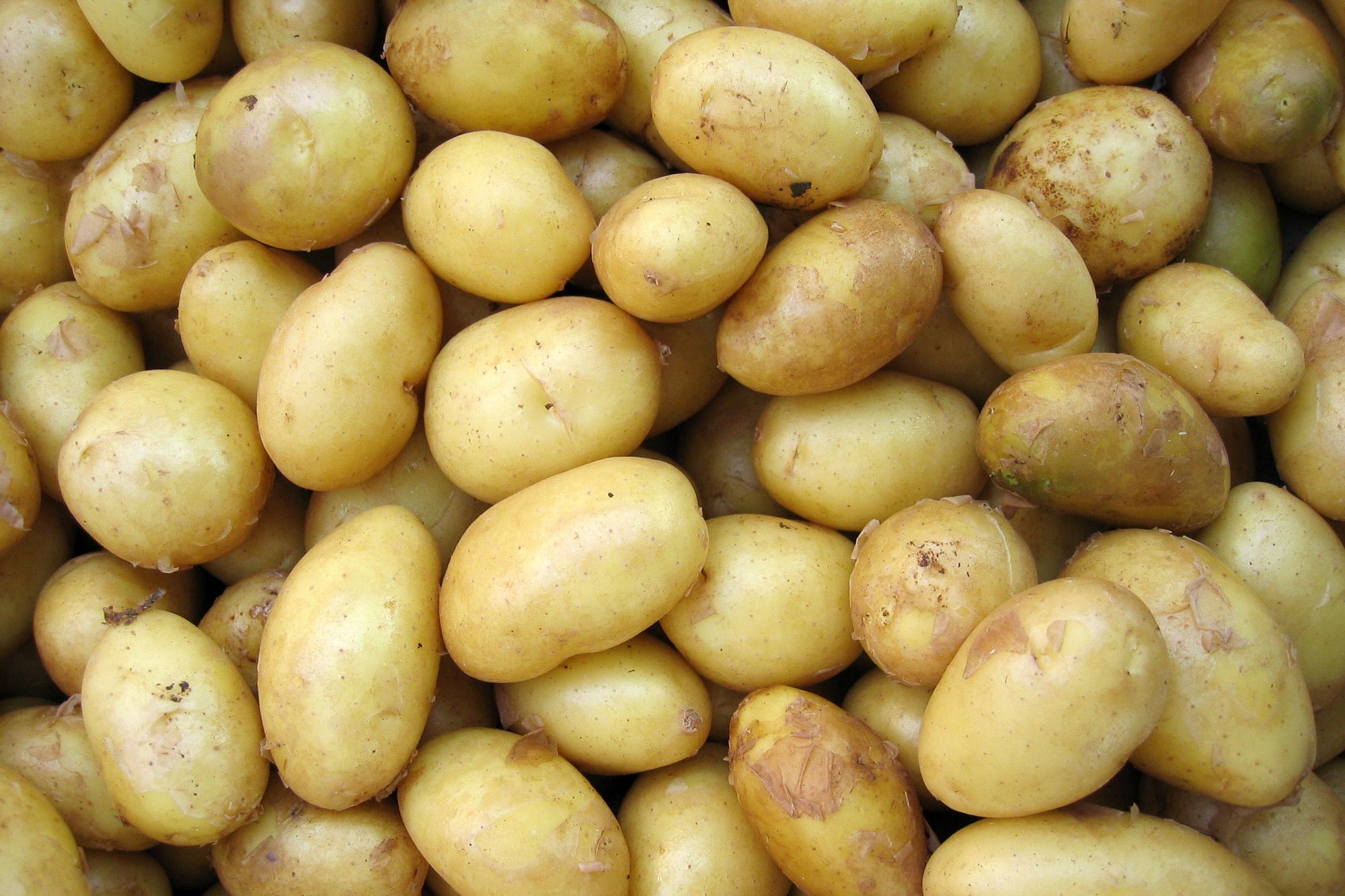 Potatoes Around the World