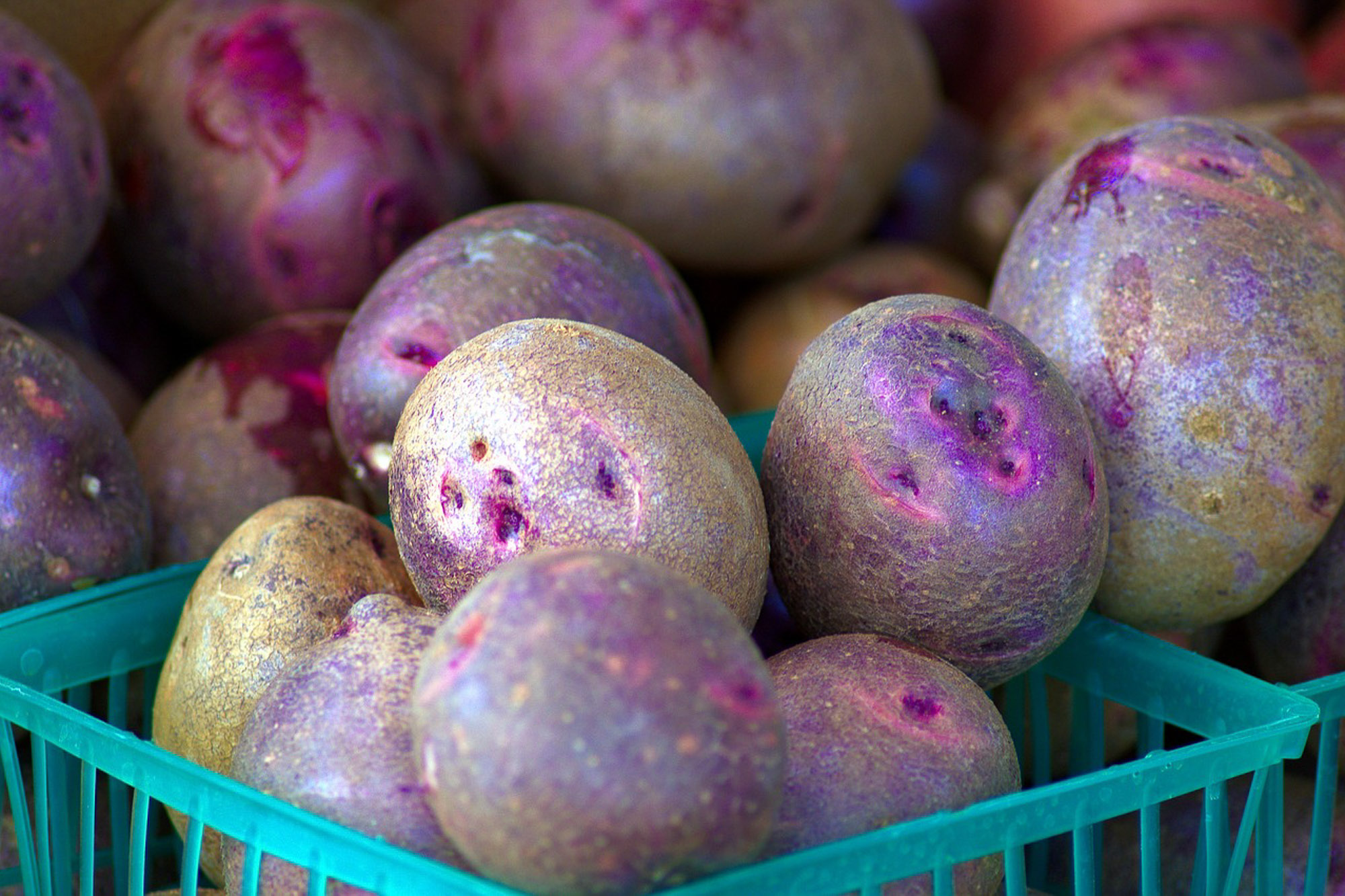 Purple Potatoes