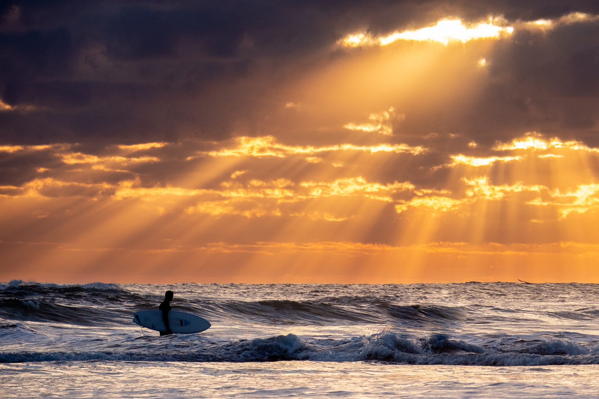 Auckland, New Zealand