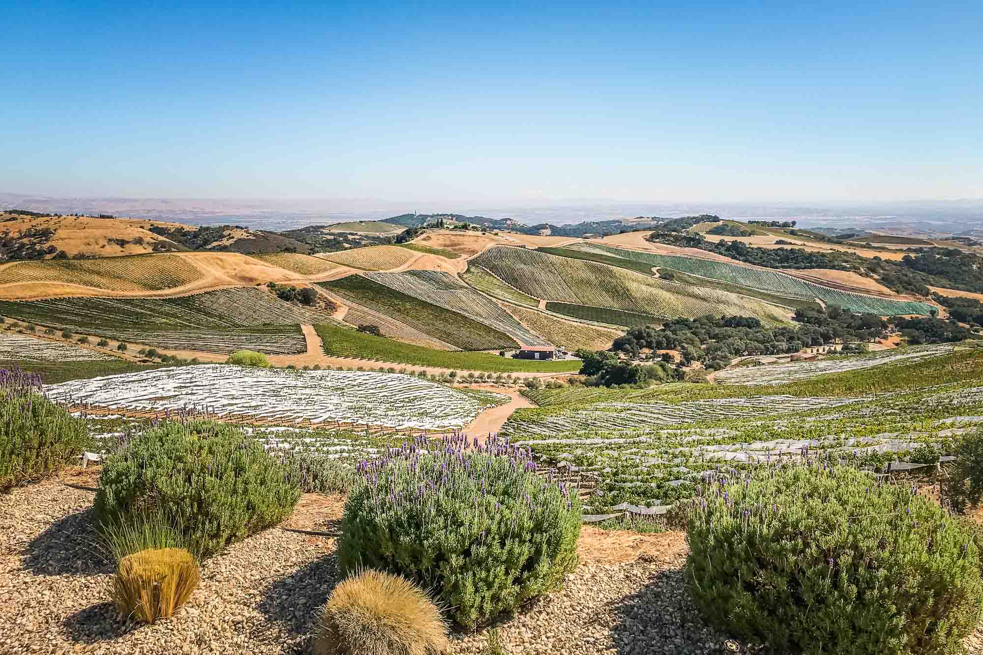 Paso Robles, California