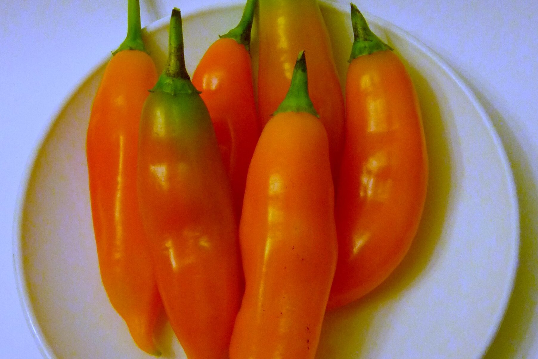 aji amarillo