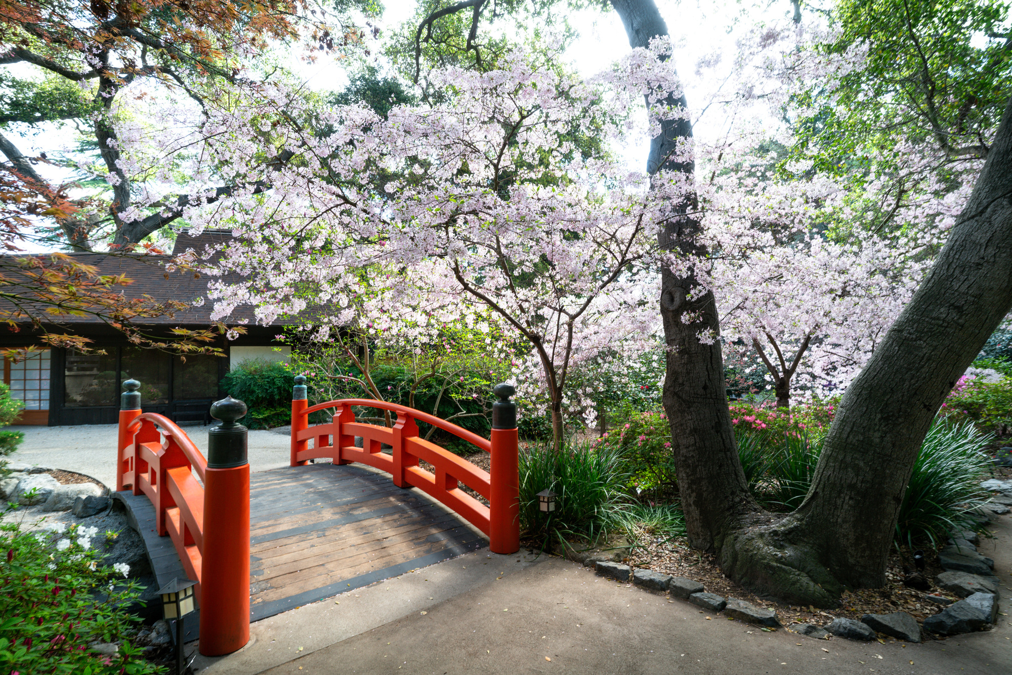 Bridge in Japan. Photo by Kirsten Alana.